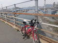 潮彩市場に行く途中の三田尻大橋