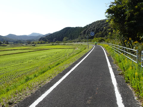 田んぼ沿いの自転車道