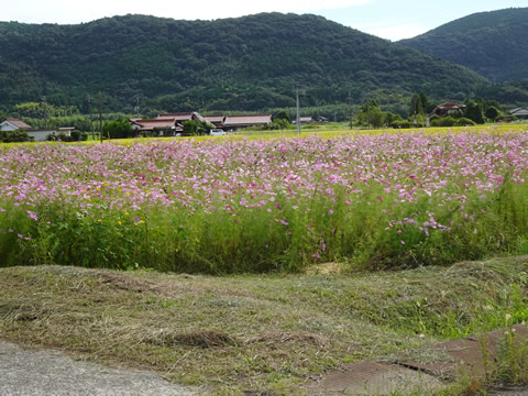 9月24日美祢３