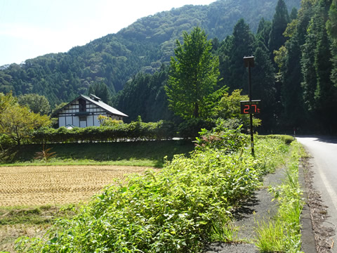 １０月１日ひがん花の里１５