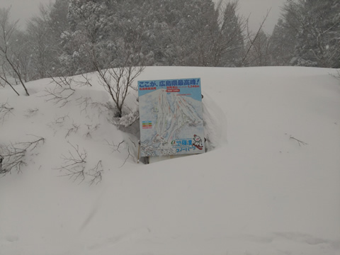 ブナ坂のトップ