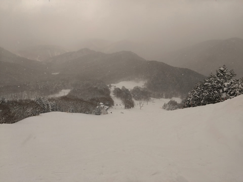 立山のトップ
