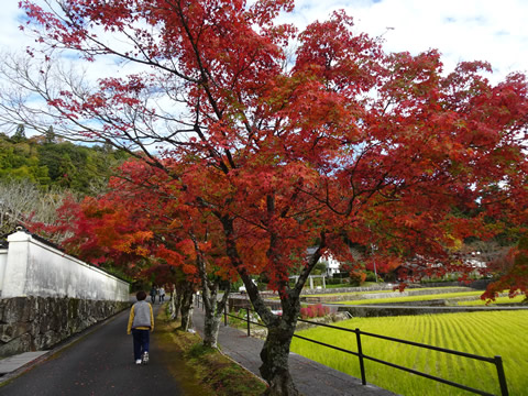 １１月１９日漢陽寺４