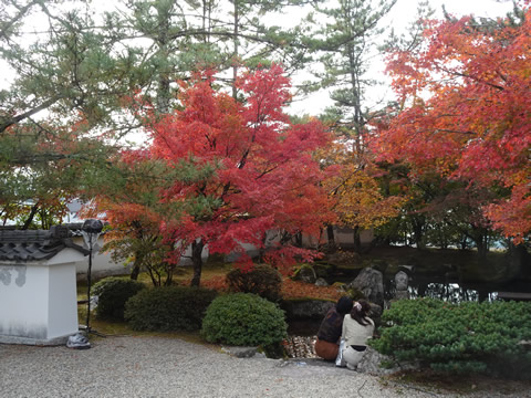 １１月１９日漢陽寺５