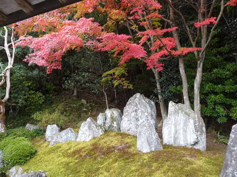 １１月１９日漢陽寺７