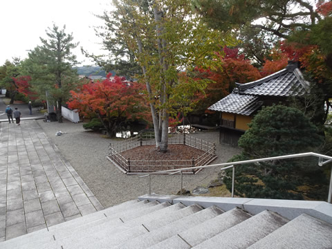 １１月１９日漢陽寺９