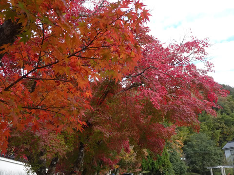 １１月１９日漢陽寺１１