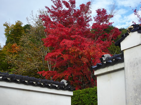 １１月１９日漢陽寺１２