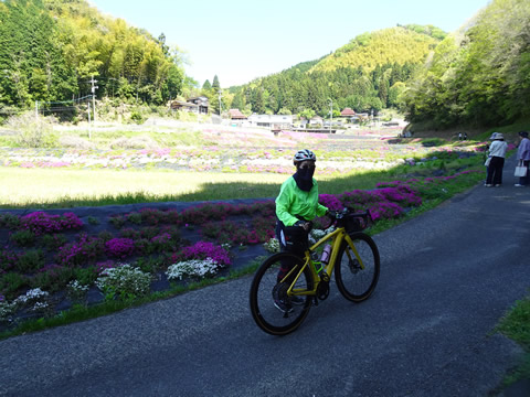少し遅かったようです