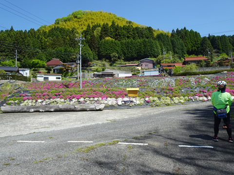ここも少なくなっていました