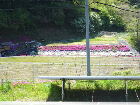 少し入った所に自転車を置きました
