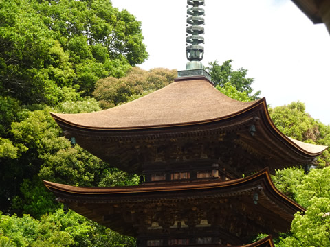 ほぼ改修工事が終わった五重塔