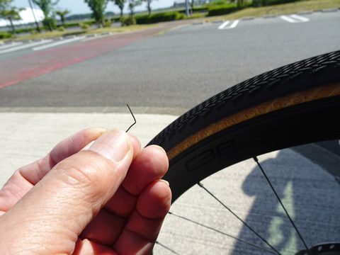 俺が刺さっていました