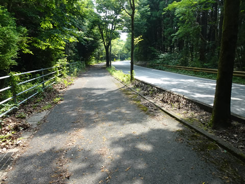 途中峠は木陰が有り涼しかったです