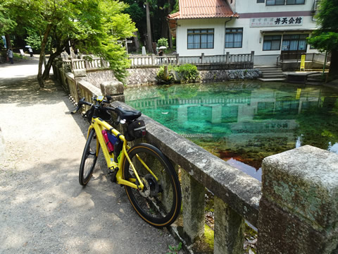 いつ見ても透明な水ですね