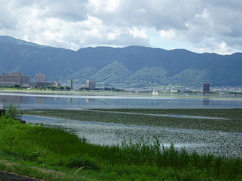 TVドラマで見たような白鳥の船が見えます