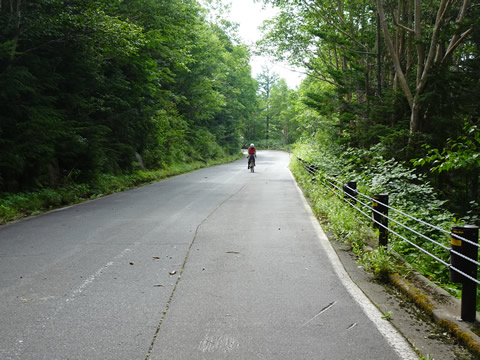 上り直線で撮りました