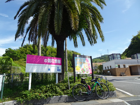 冠山総合公園（冠梅園）の入口到着！