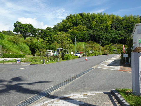 この時期花は無いので見物客はなし