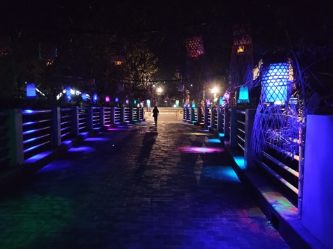 竹灯籠の祭りでした