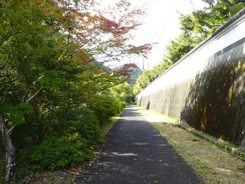 紅葉時一番の見どころの場所