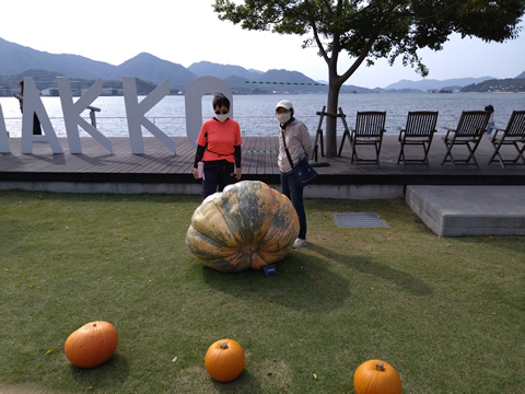 大きいかぼちゃの前で記念撮影