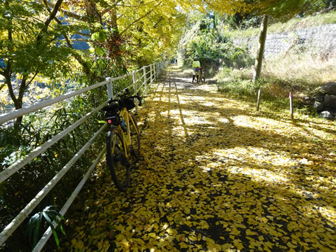 自転車のボディの色と同じ
