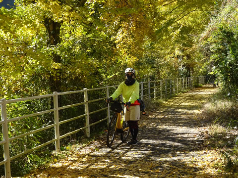 銀杏がバックで黄色一色