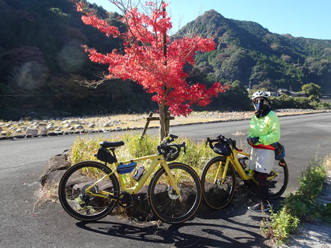 小さい公園に植えてあったもみじ