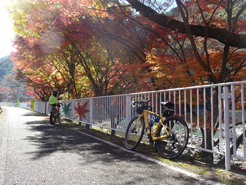本耶馬渓の通り