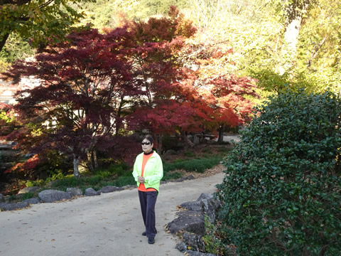 道の駅耶馬トピアの公園