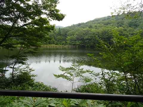 小さなダムがありました