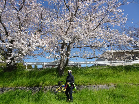 島田川河川公園