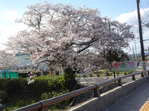 切戸川河川公園
