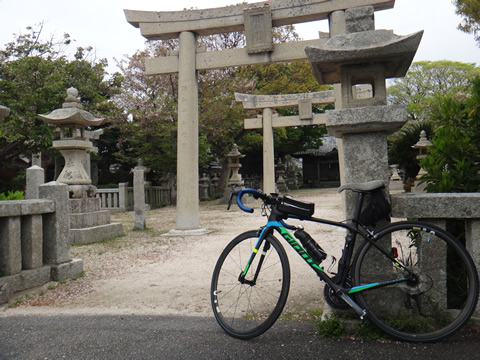 貴船神社の桜をバックに