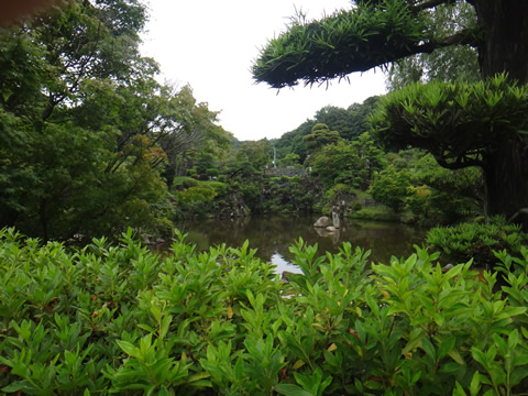 公園の鯉の居る池