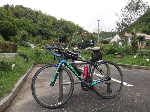 自転車置き場