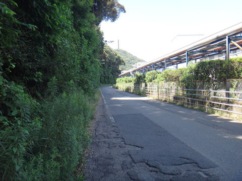粭島に行く途中の木陰エリア