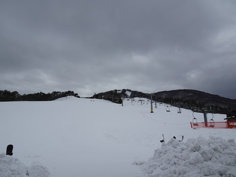 午後から曇りがちになりました