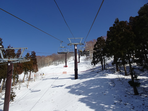良い天気になりました。青空が綺麗です