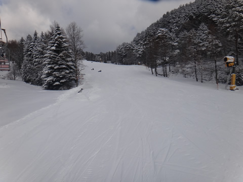 今日は人は少な目でした