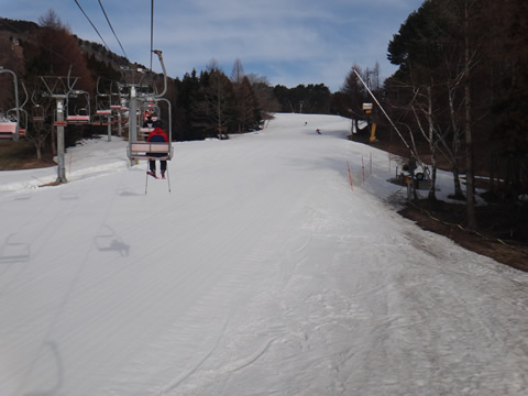 朝一のゲレンデ