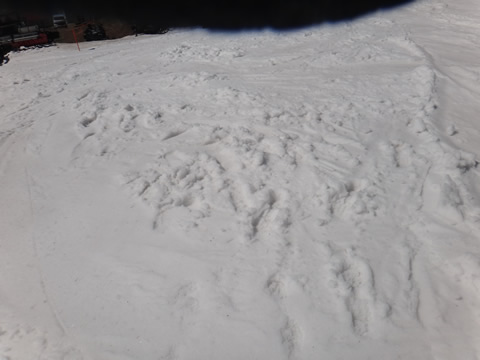 帰る前のシャバ雪